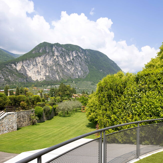 Oasi Junior Suite - Quando pensi ad un’oasi dove stare bene:  attraverso il design, ogni dettaglio  racconta il parco di Astoria Resor